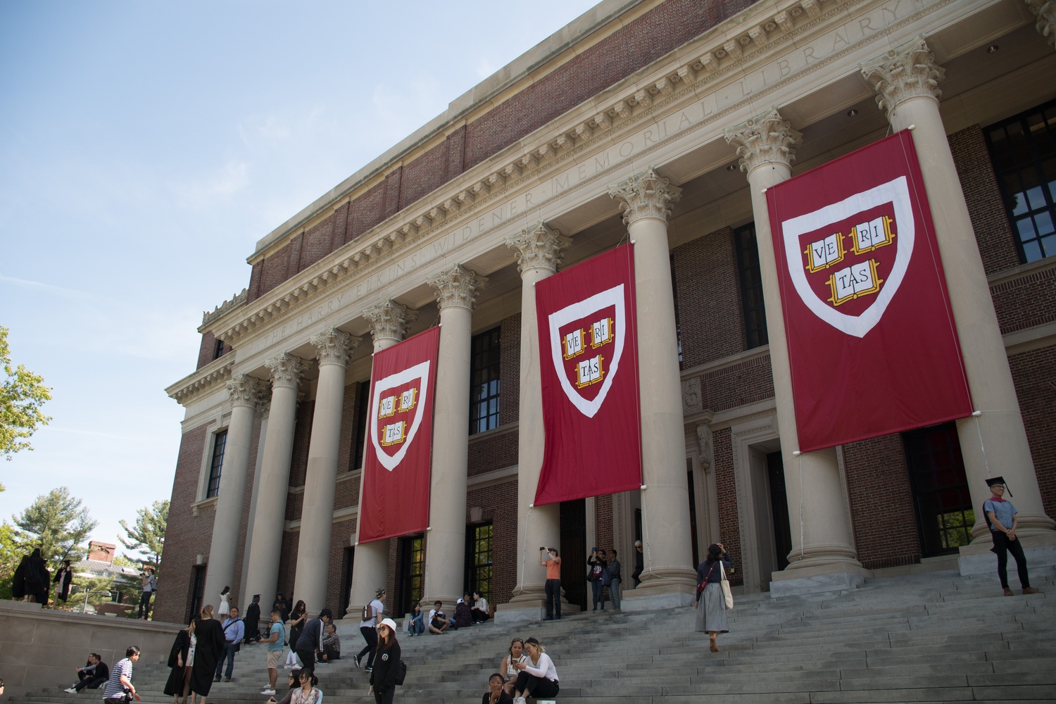 Widener library